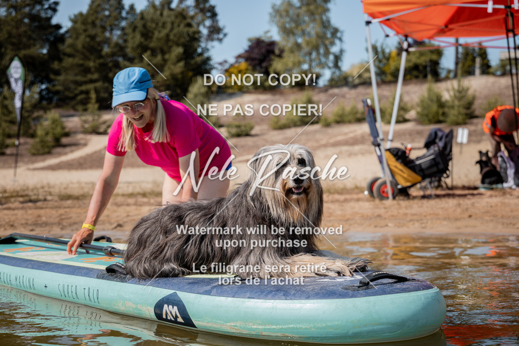nelerasche_saSUP3_155 | nelerasche