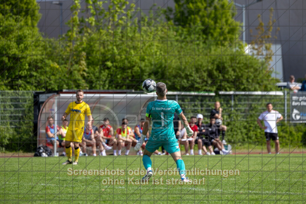 20250427_153128_0223 | #,TSV Bad Boll (rot) vs. SV Waldhausen (gelb), Fussball, Landesliga 2 - wfv, 24. Spieltag, Saison 2024/2025, Rasenplatz, Erlengarten 37, 73087 Bad Boll, 27.04.2025 - 15:00 Uhr,Foto: PhotoPeet-Sportfotografie/Peter Harich
