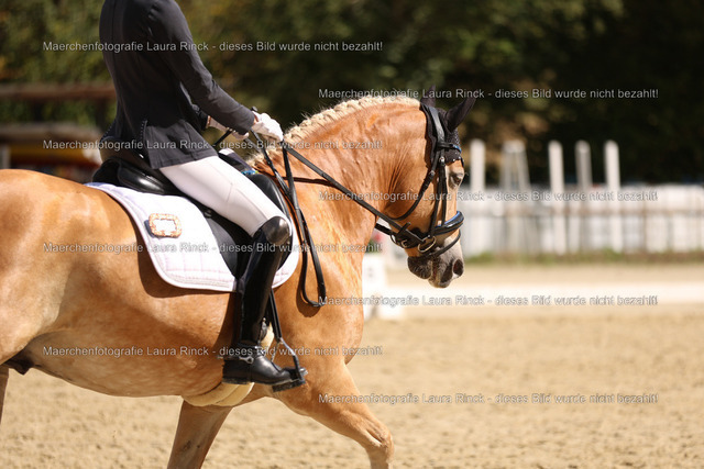 HG9A2843 | laurarinckfotografie - Realisiert mit Pictrs.com
