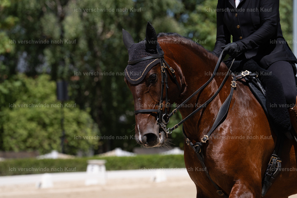 WS_DR_97_sinafilmart_IN08419 | working equitationturnier fotograf videograf stoibphotography marixx film working equitation deutschland reitsport turnierfotografie eventfotografie equestrian events