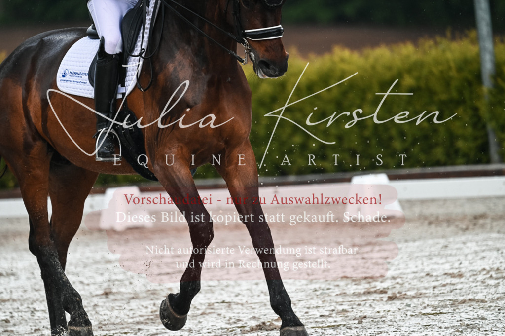 DSC_4216 | Pferde- und Turnierfotografie in Westsachsen. Pferdeportraits, Auftragszeichnungen und intuitive Kunst.
