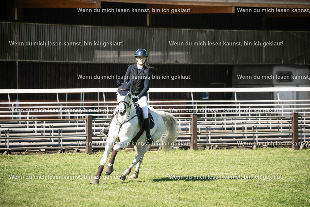 598A6452 | photographylinaismer - Realisiert mit Pictrs.com