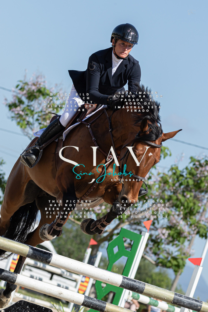 IMG_0827 | s-jay-photography - Realisiert mit Pictrs.com