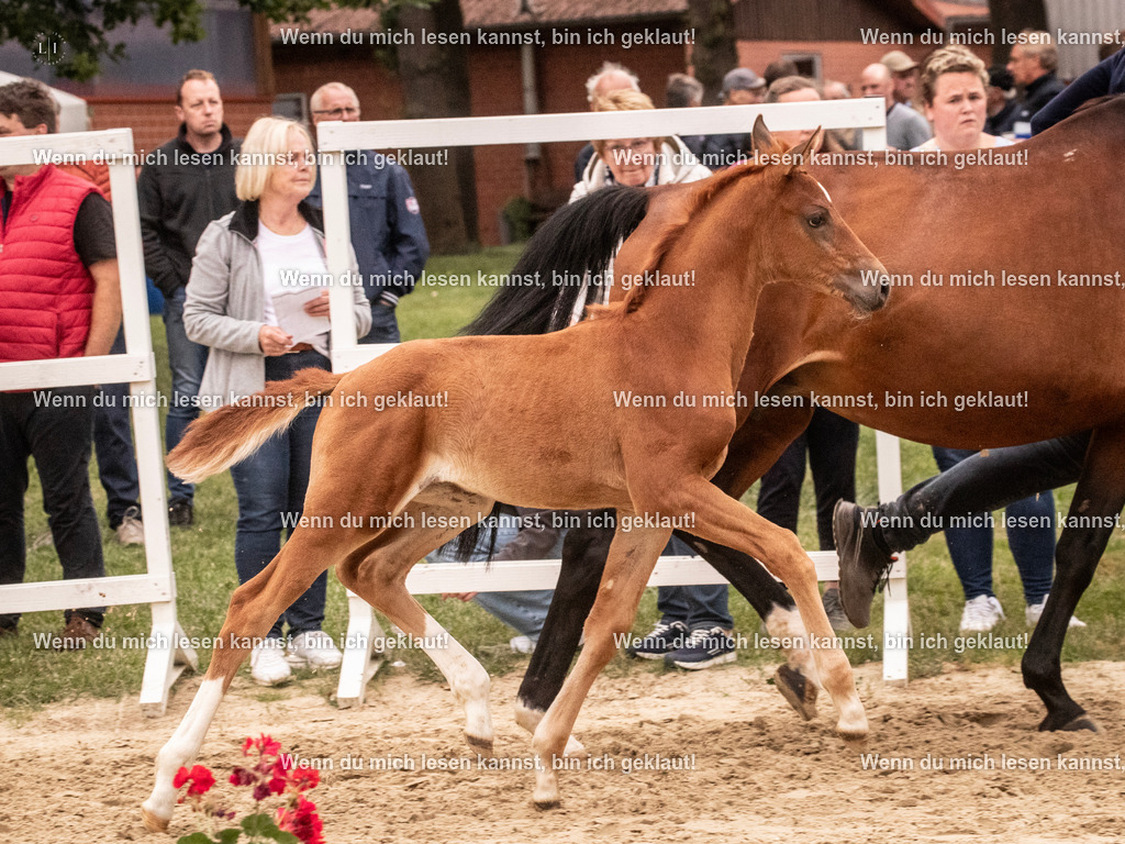 A10I5833 | photographylinaismer - Realisiert mit Pictrs.com