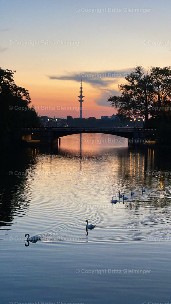 Hamburg - Sonnenuntergang an der Alster 1 | Mit Blick auf die Brücke vom Schwanenwik, dahinter der Fernsehturm schwimmen die Alsterschwäne im Sonnenuntergang auf der Alster in ihr Nachtquartiert - Realisiert mit Pictrs.com