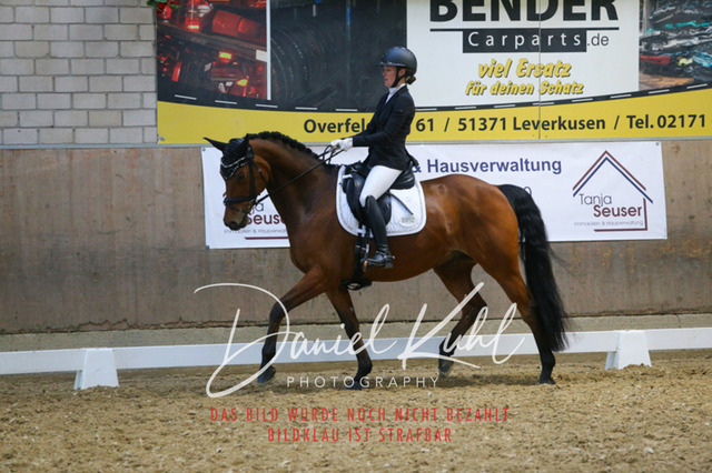 IMG_2817 | Turnierfotos kaufen im Webshop von Daniel Kuhl Photography – entdecke professionelle Reitsportfotos aus Turnieren & Events. Hochwertige Turnierbilder online bestellen & sichern. Jetzt Fotos von Reitsportturnieren kaufen!