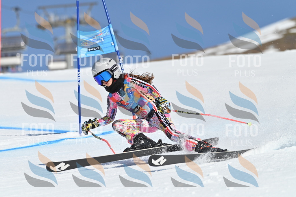 BGV_8272 | holidayphoto