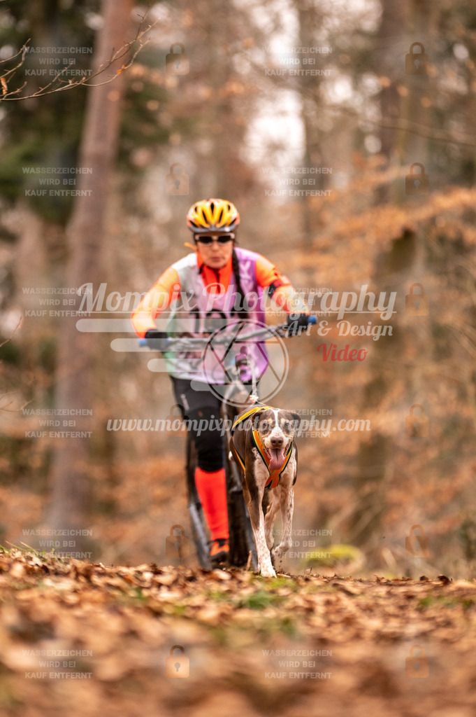 AKM_ST_2023_SAM_Scooter-76 | PayLife