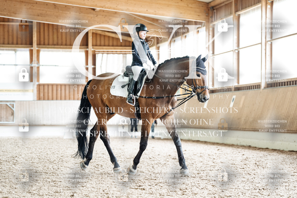 CK900787 | Turnierfotografie Pferdefotografie Trier Rheinland-Pfalz Pferdesport Reitsport Tierfotografie Sportfotografie Pferdevideo Pferdevideografie Equestrianvideography equestrianphotography  - Realisiert mit Pictrs.com