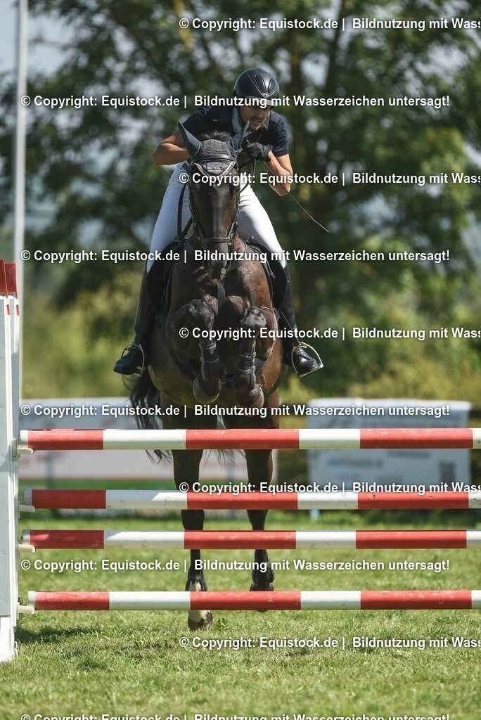 20230909_18_Springen_L_KSK-Böblingen_0082 | Foto: Thomas Hartig