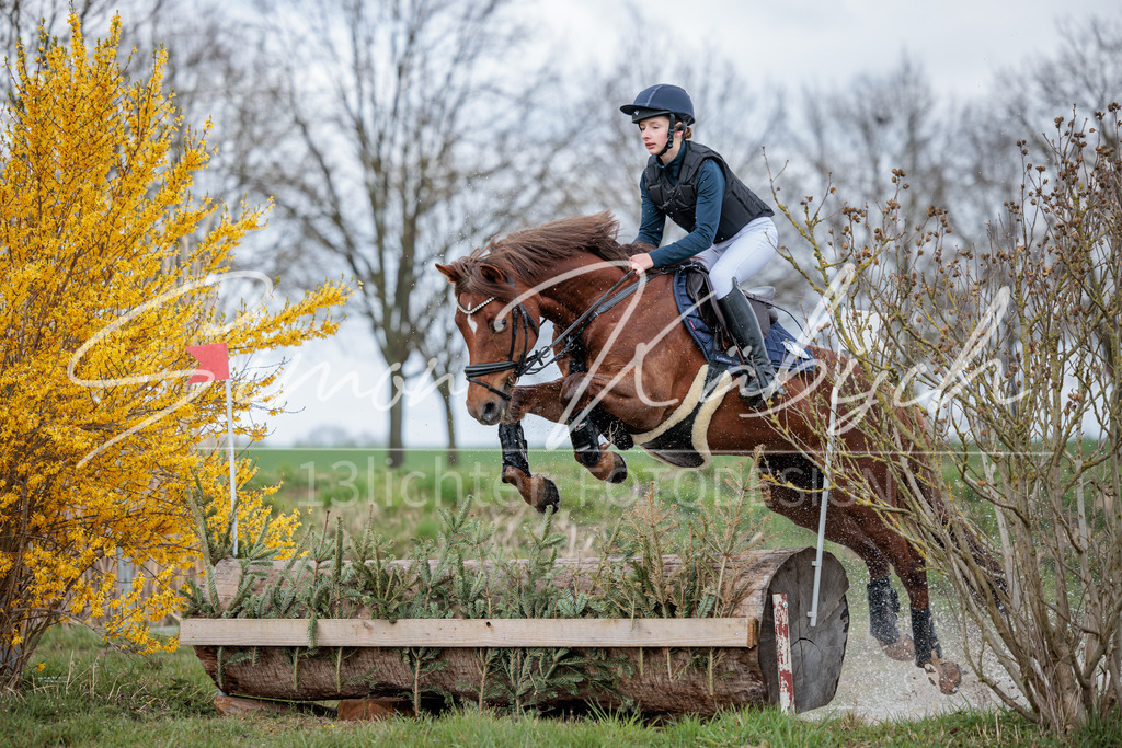 20260329-_3LI5452 | Tierfotografie Pferde, Hunde, Katzen, Haustiere.
Turnierfotografie Reitturniere, Reiten, Springreiten, Dressur in Hanau, dem Main-Kinzig-Kreis und dem Rhein-Main- Gebiet um Frankfurt
