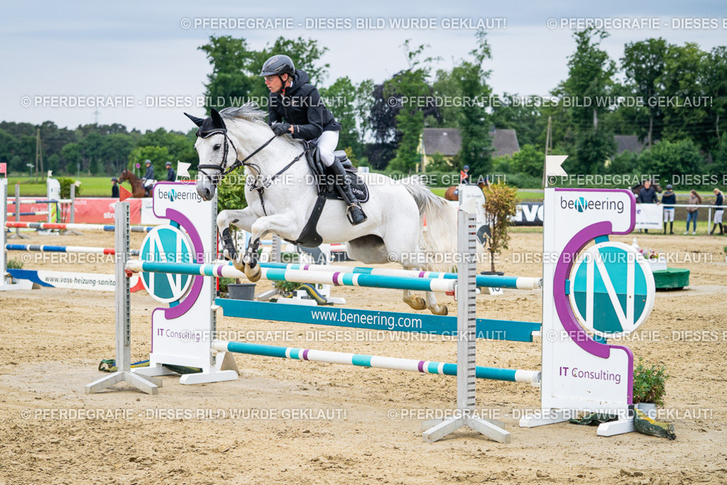 DSC05284 | Pferdegrafie