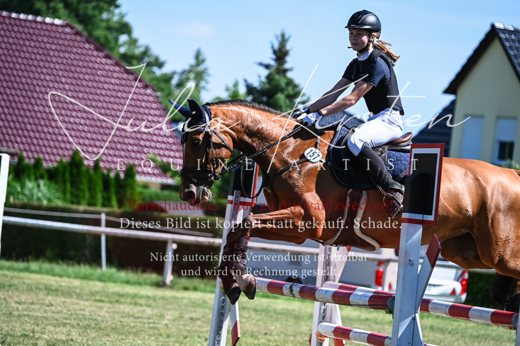 DSC_1473 | Pferde- und Turnierfotografie in Westsachsen. Pferdeportraits, Auftragszeichnungen und intuitive Kunst.