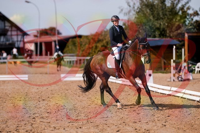 2026_10_03_Siefer-Hof_123140_Z81_30225163 | Professionelle Reitsport-, Turnier- und Eventfotografie von Robert Broda. Galerien mit ausgewählten und bearbeiteten Bildern direkt online ansehen und bestellen.