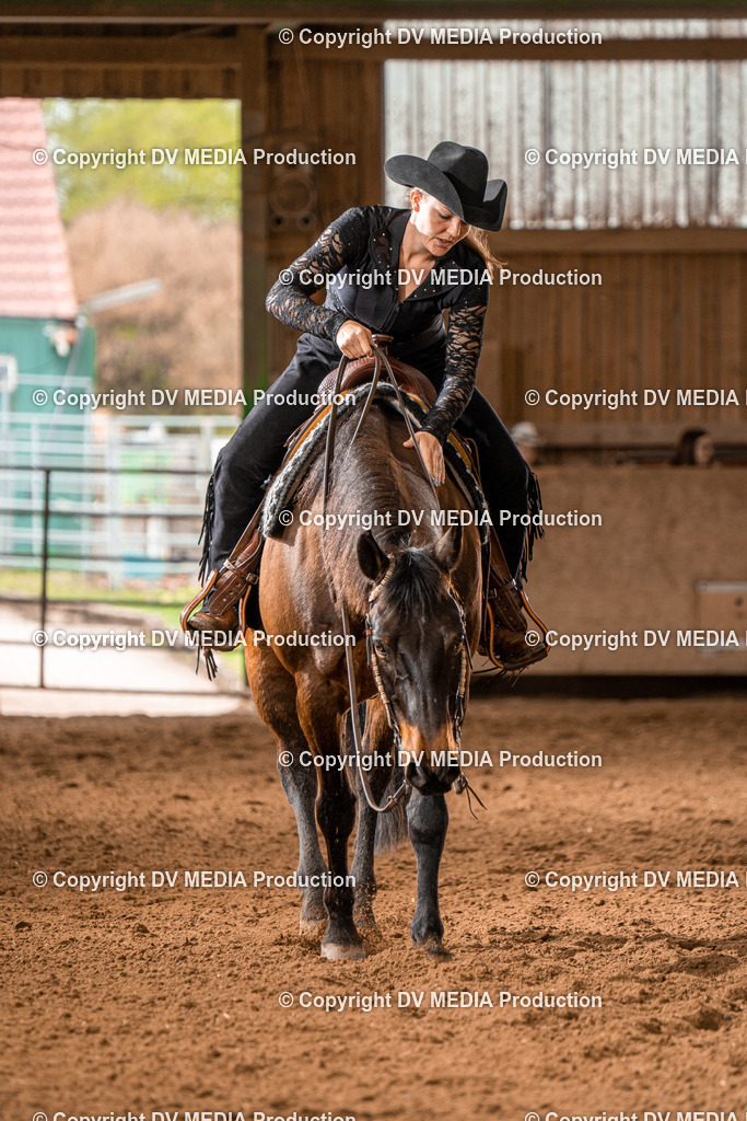 BAL00648 | dv-media-shop - Realisiert mit Pictrs.com