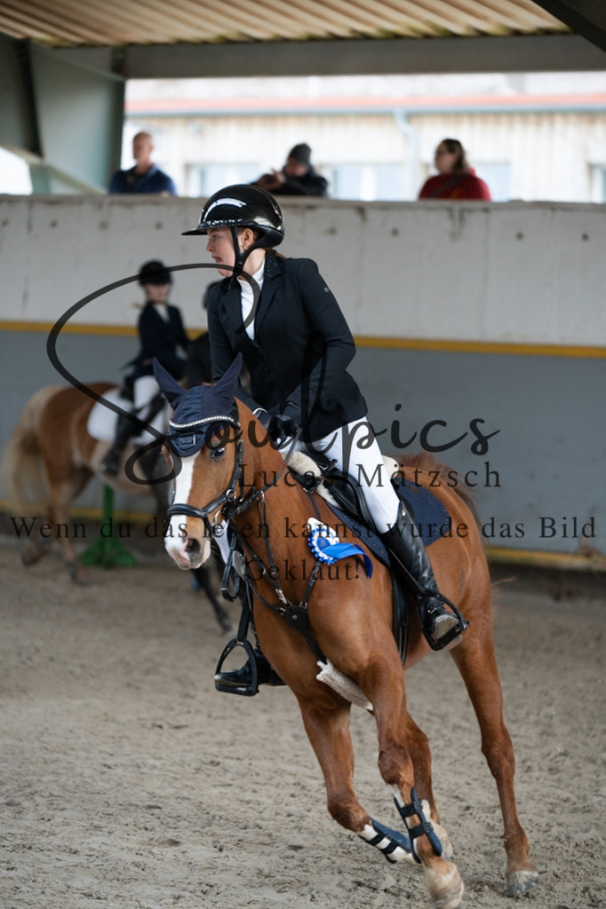 A7V04165 | Pferdefotograf