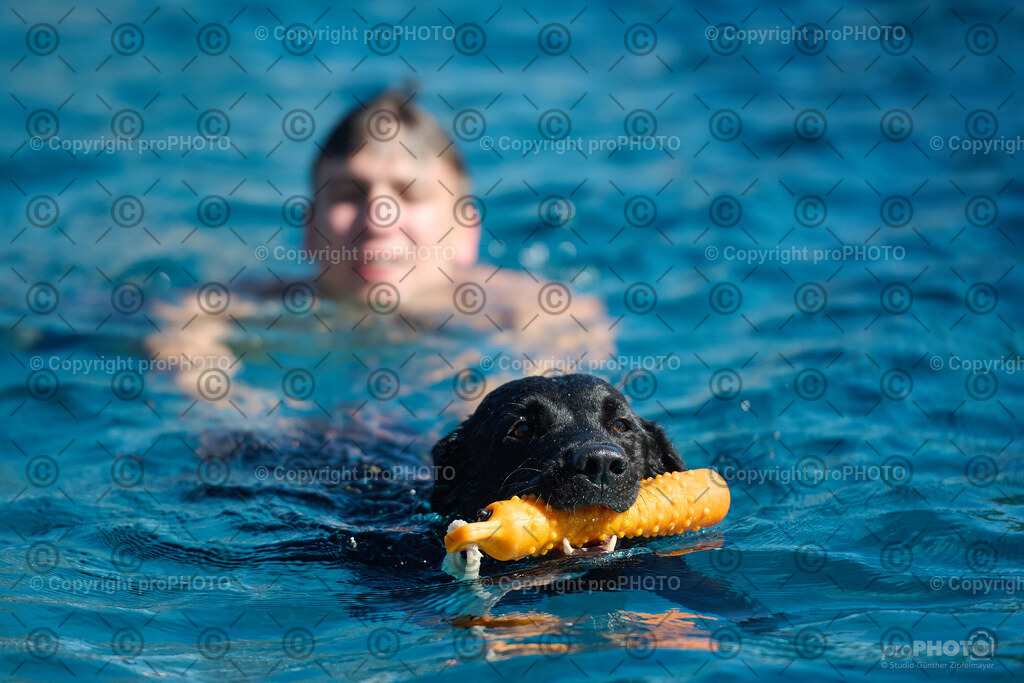 115_202509_4Hundebadetag_NZ9_2474 | proPHOTO - Realisiert mit Pictrs.com