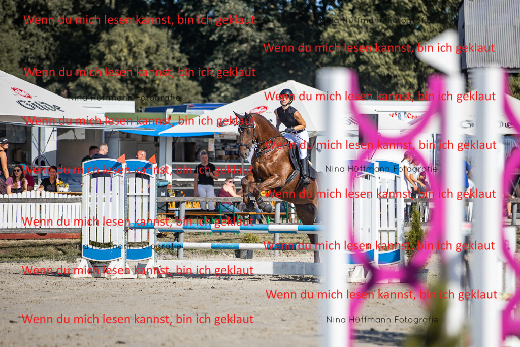 BK1A7293 | Turnierbilder Turnierfotos Nina Hüffmann Turnierfotografie Pferdefotografie Tierzeichnung Haustierzeichnung Pferdezeichnung Hundezeichnung Videograf  - Realisiert mit Pictrs.com