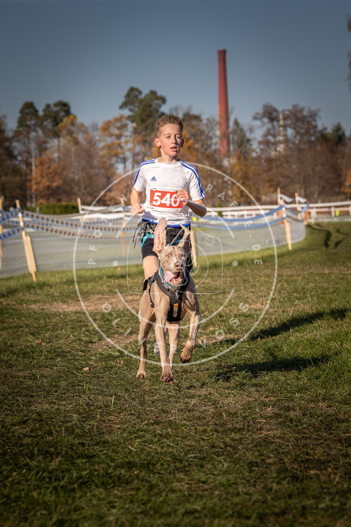 CaniXpix_0L8A7557 | Hundefotografie, Tierfotograf, Pfotenfotografie, Fotoshooting Hund, Hunde Portrait, Hundesport, Hundeportraits, Heideshooting, Hunde, Sportfotograf, Hundefotograf, Turnierhundsport, THS,  - Realisiert mit Pictrs.com