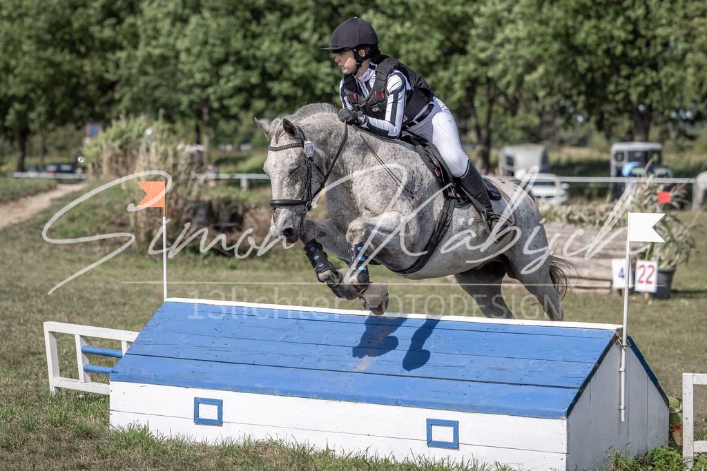 20250907-_3LI9954 | Tierfotografie Pferde, Hunde, Katzen, Haustiere.
Turnierfotografie Reitturniere, Reiten, Springreiten, Dressur in Hanau, dem Main-Kinzig-Kreis und dem Rhein-Main- Gebiet um Frankfurt