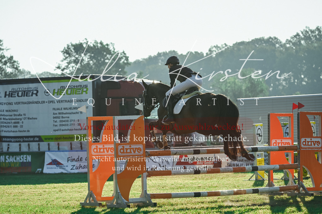 DSC_4193 | Pferde- und Turnierfotografie in Westsachsen. Pferdeportraits, Auftragszeichnungen und intuitive Kunst.