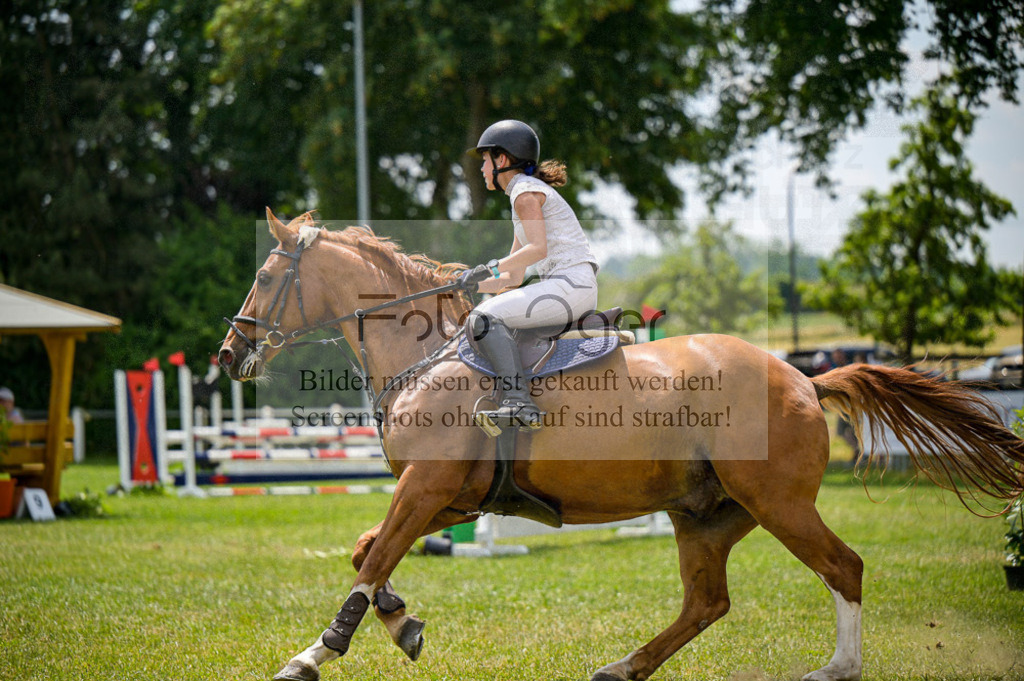 Reitturnier Voxtrup | Entdecke hochwertige Reitturnierfotos von Foto Oger. Professionell, emotional und authentisch – jetzt Lieblingsmomente im Shop bestellen. - Realisiert mit Pictrs.com