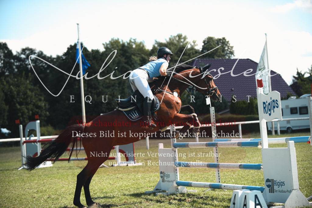 DSC_7150 | Pferde- und Turnierfotografie in Westsachsen. Pferdeportraits, Auftragszeichnungen und intuitive Kunst.