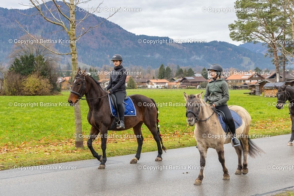 LL25-61 | foto-bettina-krinner - Realisiert mit Pictrs.com