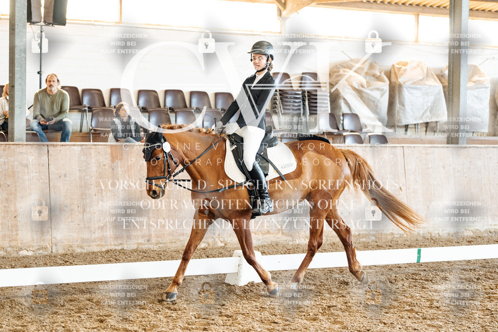 CK900519 | Turnierfotografie Pferdefotografie Trier Rheinland-Pfalz Pferdesport Reitsport Tierfotografie Sportfotografie Pferdevideo Pferdevideografie Equestrianvideography equestrianphotography  - Realized with Pictrs.com