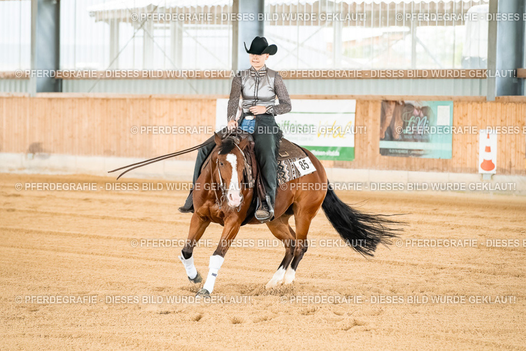 DSC02762 | Pferdegrafie