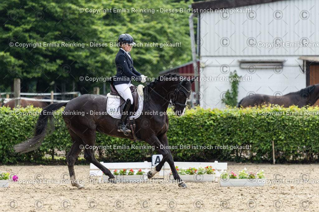 CL5A4934 | Emilia Reinking Fotografie - Realisiert mit Pictrs.com