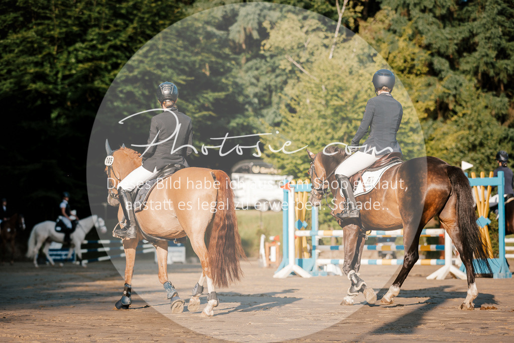 3I6A6007 | Stimmungsvolle Portraits und Reitsportfotografie im Ruhrgebiet und im Münsterland.

Pferdefotografie, Hundefotografie, Tierfotografie, Reportagen, Portraits von Tier und Mensch, Turnierfotografie in Bochum, Recklinghausen, Marl, Haltern am See, Dülmen.. - Realisiert mit Pictrs.com