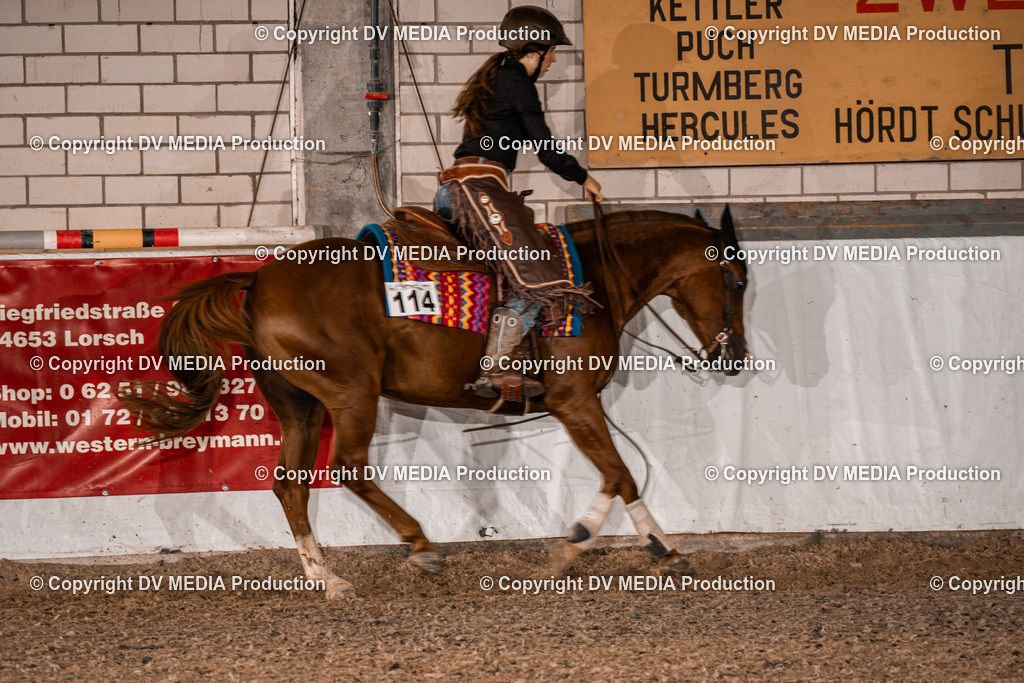 ZH300242 | dv-media-shop - Realisiert mit Pictrs.com