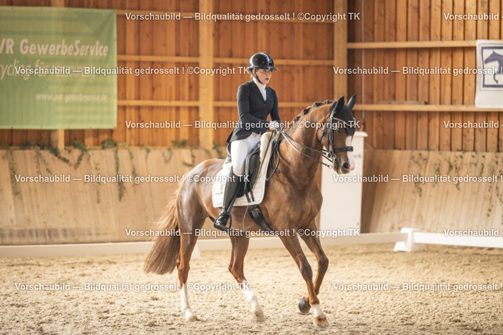 _D5A9486 | Emotionale Pferde- & People-Fotografie rund um Heidelberg, Leimen & Umgebung. Natürliche Fotos von Pferd, Mensch & Familie. Jetzt Termin sichern!