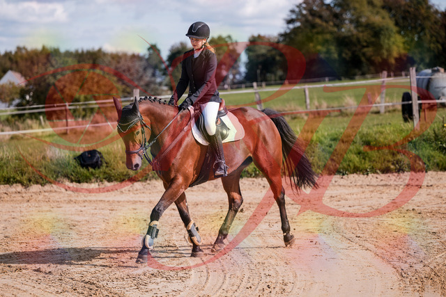 2026_10_03_Siefer-Hof_143553_Z81_05162593 | Professionelle Reitsport-, Turnier- und Eventfotografie von Robert Broda. Galerien mit ausgewählten und bearbeiteten Bildern direkt online ansehen und bestellen.