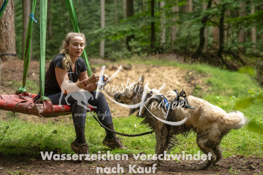 1258_ZZ91887-Bearbeitet | kk-dogfotos