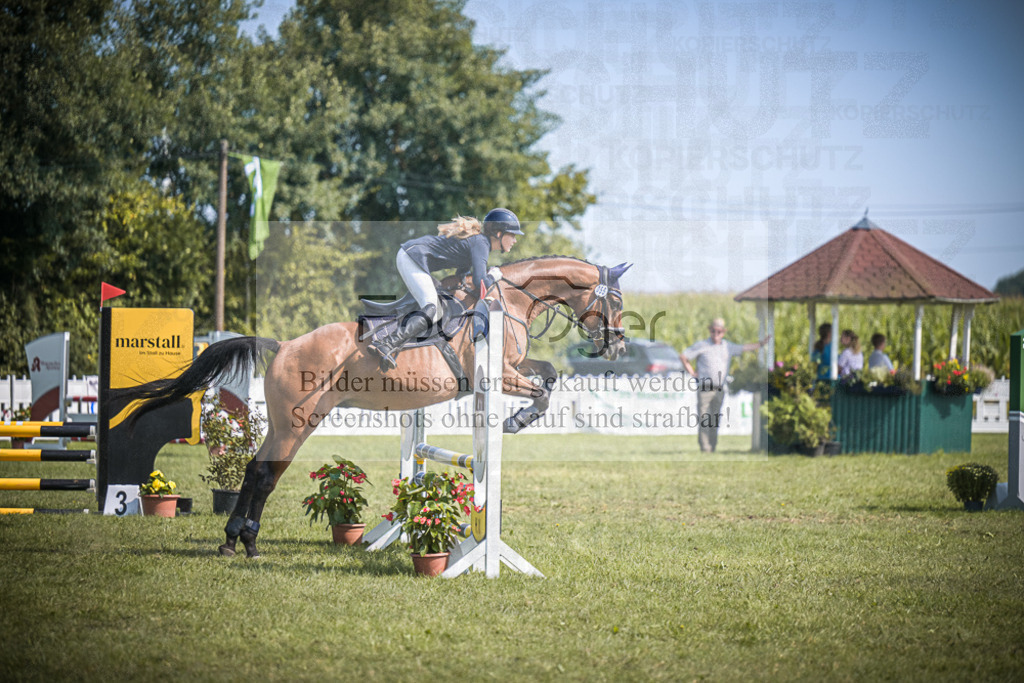 DOS_2954 | Entdecke hochwertige Reitturnierfotos von Foto Oger. Professionell, emotional und authentisch – jetzt Lieblingsmomente im Shop bestellen.Deutschlandweite Turnierfotografie. - Realisiert mit Pictrs.com