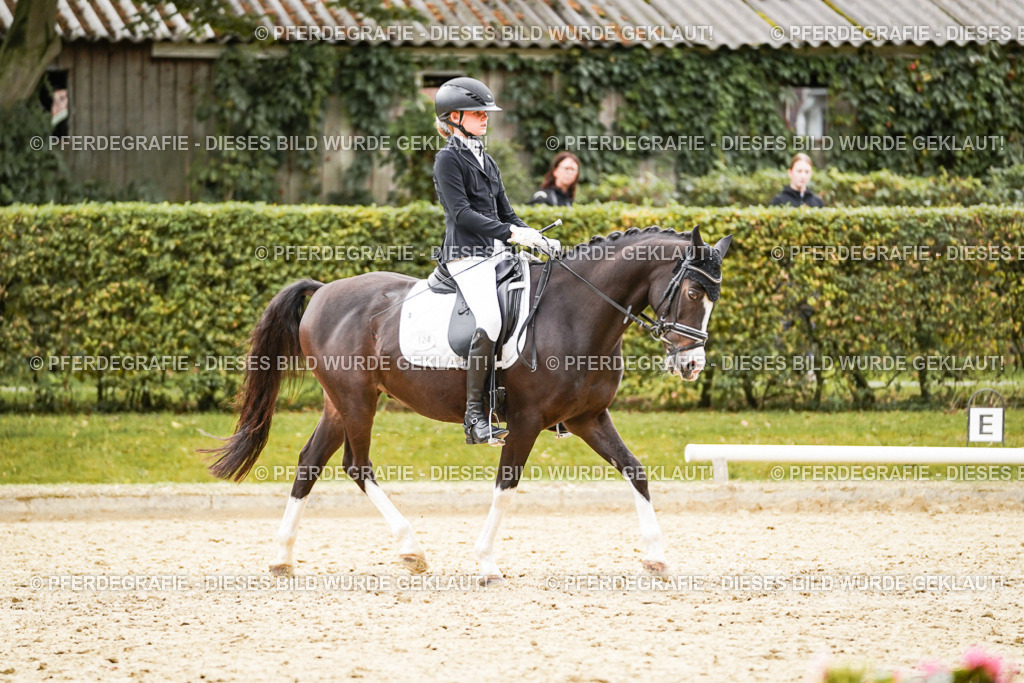 DSC00205 | Pferdegrafie