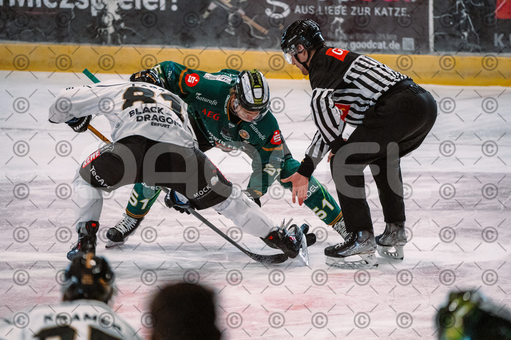 Alligators_vs_Erfurt_06_09_2026-18 | Die Fotogalerie von Daddel: professionelle Bilder von Sport, Events und Unternehmen aus Franken. Jetzt Galerien durchstöbern und Lieblingsfotos bestellen. - Realisiert mit Pictrs.com
