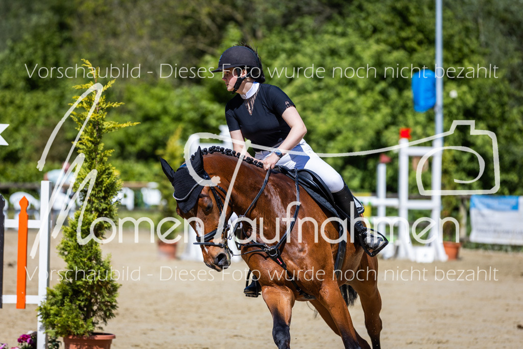 Donop24-ASprmstA-051 | MomenTaufnahmen Pferdesportfotos