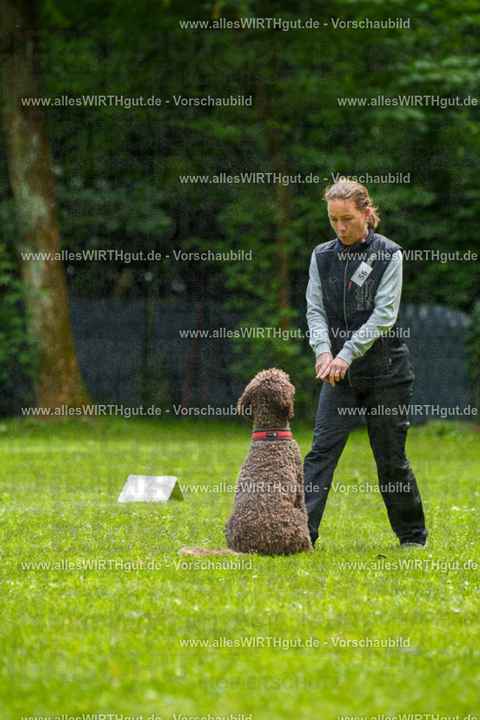 @allesWIRTHgut_Tierfotografie - www.allesWIRTHgut.de - 7R501142 | Professionelle Tierfotografie in Mönchengladbach von Daniel Wirth (allesWIRTHgut). Liebevolle & natürliche Bilder von Hunden & Katzen für unvergessliche Erinnerungen.