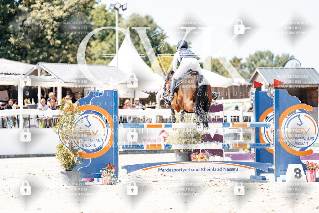 CK909908 | Turnierfotografie Pferdefotografie Trier Rheinland-Pfalz Pferdesport Reitsport Tierfotografie Sportfotografie Pferdevideo Pferdevideografie Equestrianvideography equestrianphotography  - Realisiert mit Pictrs.com