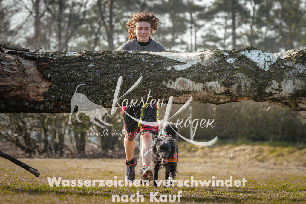 1000_ZZ90654 | kk-dogfotos