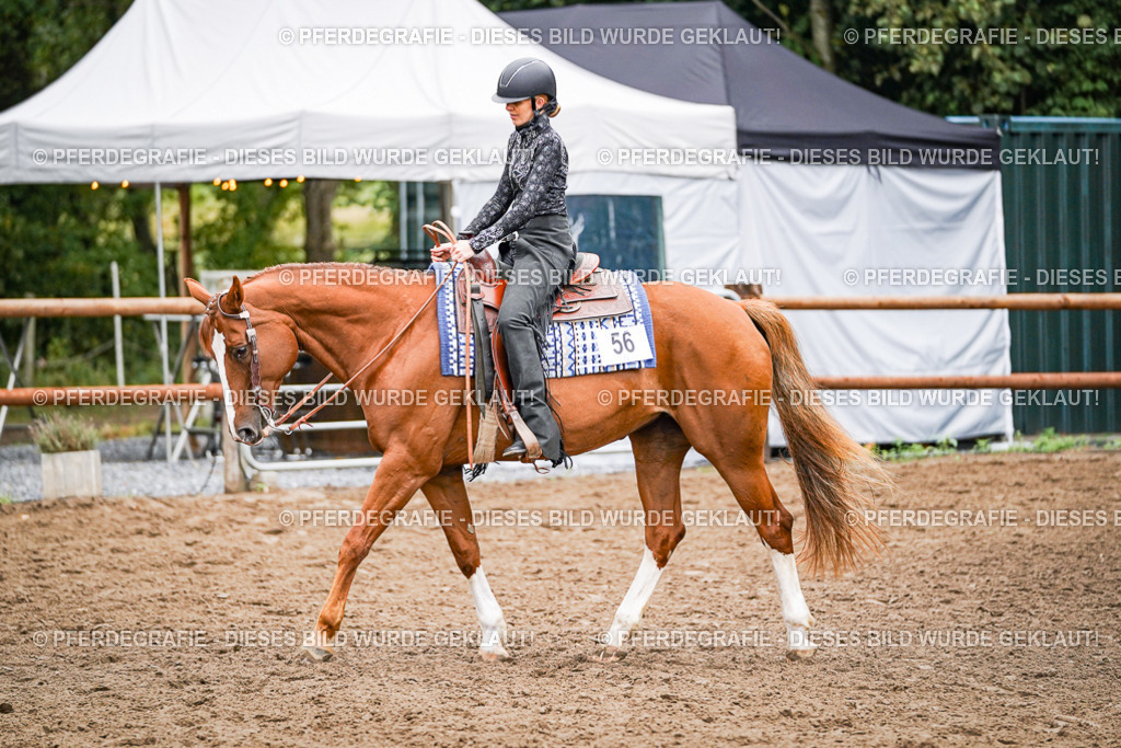 DSC02442 | Pferdegrafie