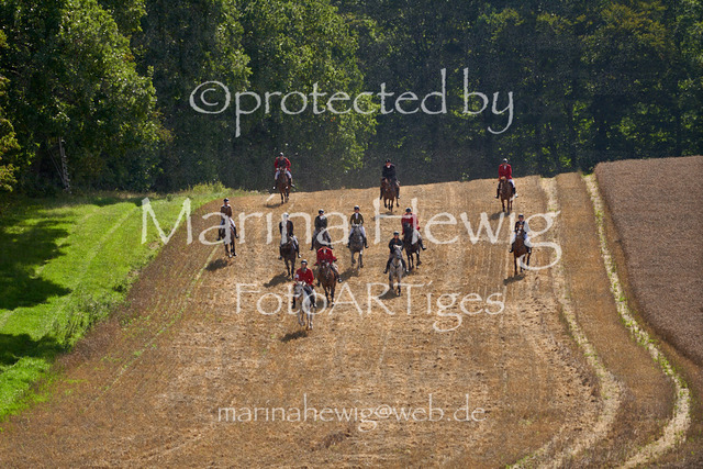 _MCH8191_Marina Hewig | Fotografie, FotoArt, PferdesportArt, Pferdesportfotografie, Landschaftsfotografie, Reisefotografie, Reise, Pferde - Realisiert mit Pictrs.com