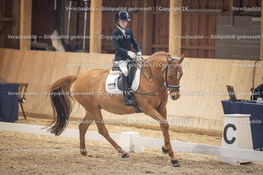 _D5A2240 | Emotionale Pferde- & People-Fotografie rund um Heidelberg, Leimen & Umgebung. Natürliche Fotos von Pferd, Mensch & Familie. Jetzt Termin sichern!