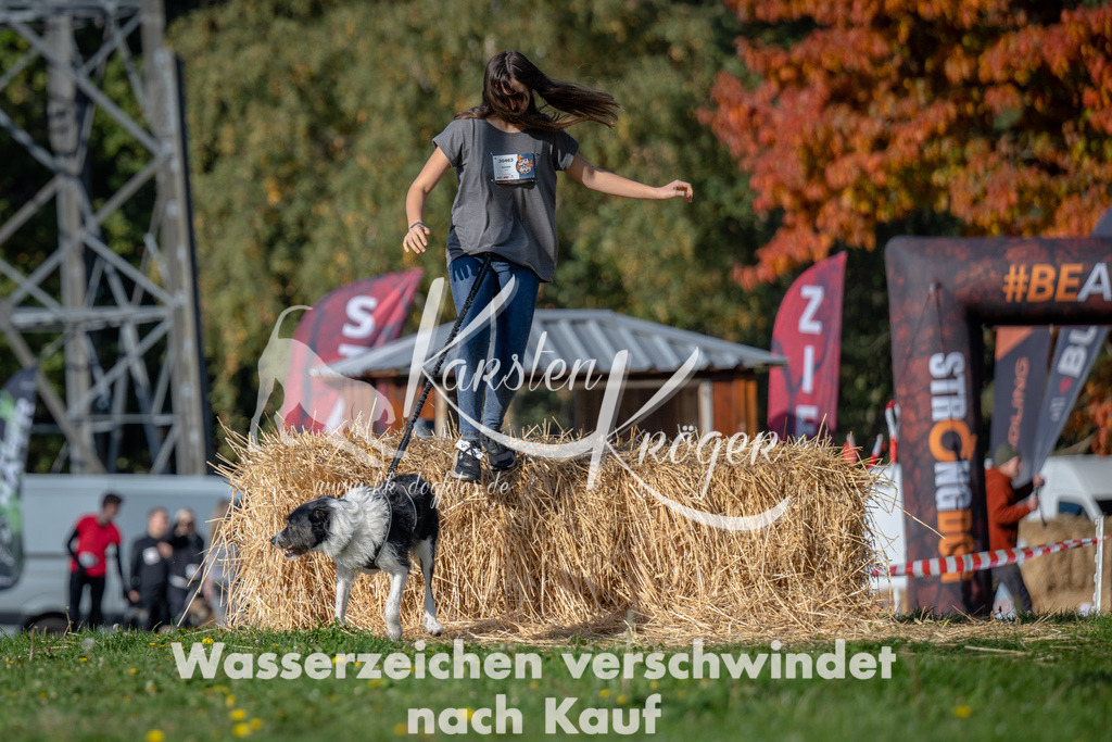 1029_ZZ90612 | kk-dogfotos