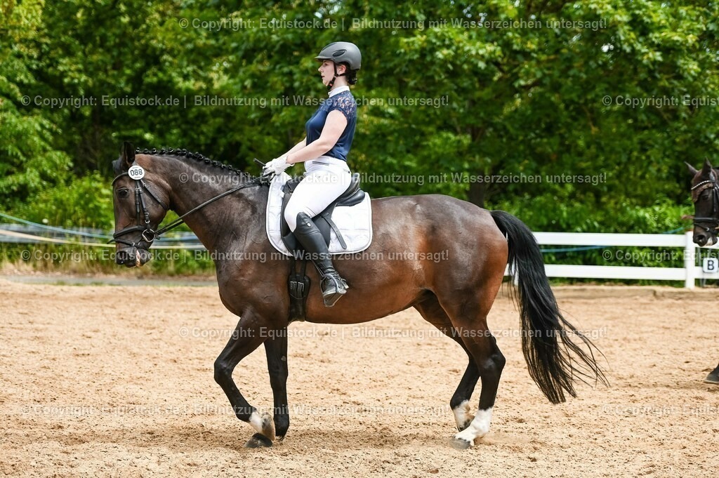 20230715_05_Dressurprüfung Kl.A++_0349 | equistock