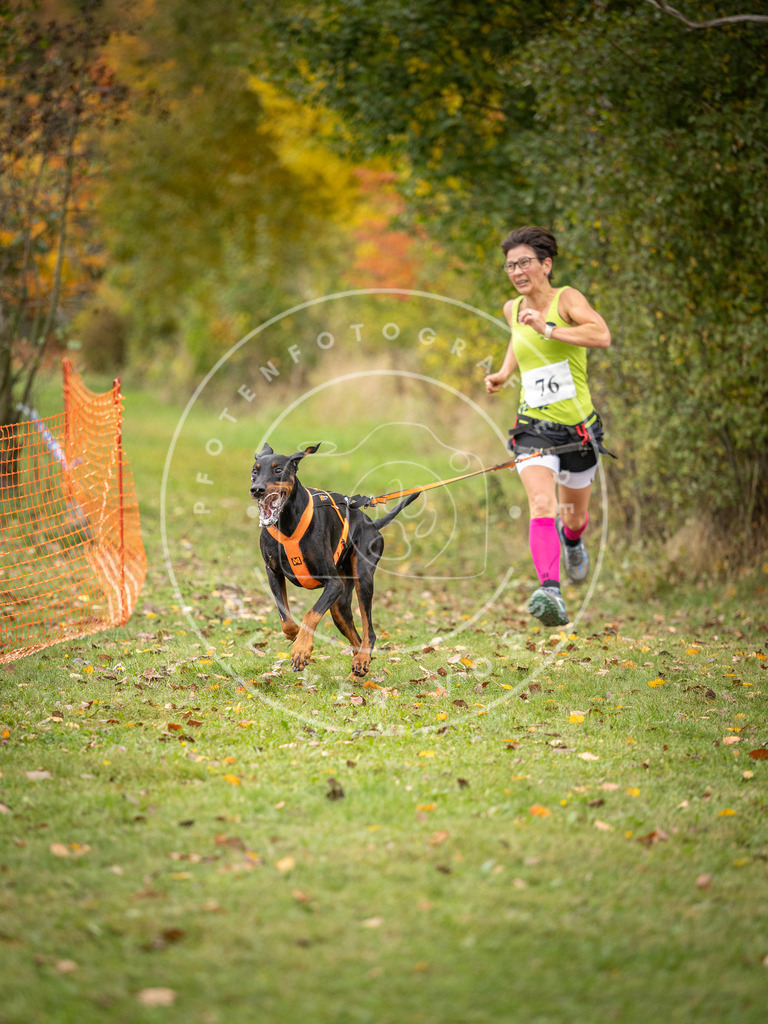 Pfotenfotografie_DV3A2954 | Hundefotografie, Tierfotograf, Pfotenfotografie, Fotoshooting Hund, Hunde Portrait, Hundesport, Hundeportraits, Heideshooting, Hunde, Sportfotograf, Hundefotograf, Turnierhundsport, THS,  - Realisiert mit Pictrs.com