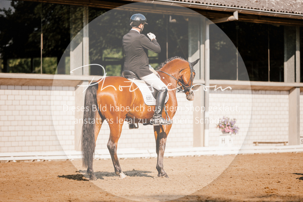 3I6A8922 | Stimmungsvolle Portraits und Reitsportfotografie im Ruhrgebiet und im Münsterland.

Pferdefotografie, Hundefotografie, Tierfotografie, Reportagen, Portraits von Tier und Mensch, Turnierfotografie in Bochum, Recklinghausen, Marl, Haltern am See, Dülmen.. - Realisiert mit Pictrs.com